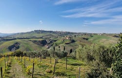 Pienza, Tuscany 53026