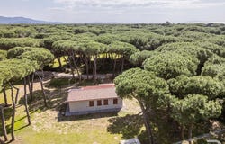 Grosseto, Grosseto, Tuscany 58100