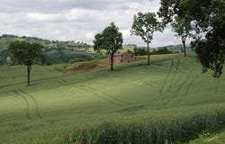 Frazione San Gregorio, Assisi, Umbria 06081