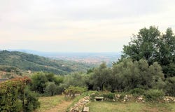Massa e Cozzile, Tuscany 51010