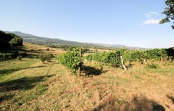 Roccastrada, Tuscany 58027