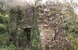 SP63, Apricale, Provincia di Imperia, Ligurië, 18035, Italië, Isolabona, Liguria 18035