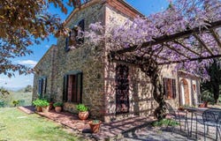 Sinalunga, Tuscany 53048