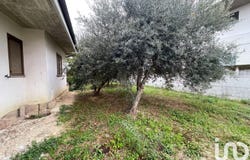 Pianella, Abruzzo 65019
