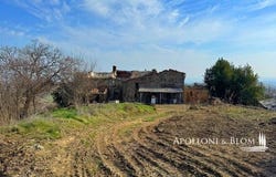 Torrita di Siena, Toscana|Tuscany 53049