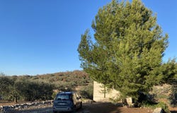 Monopoli, Apulia 70043