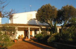 Rosignano Marittimo, Tuscany 57016