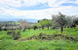 Roccastrada, Tuscany 58036