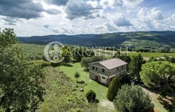 Castiglione d'Orcia, Tuscany 53023
