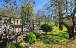 Die Adresse erhalten Sie vom Anbieter, Vinci, Toscana|Tuscany 50059