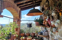 Sinalunga, Tuscany 53048