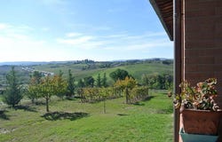 Siena, Tuscany 53100