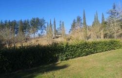 Arezzo, Tuscany 52100