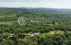 Scansano, Tuscany 58054