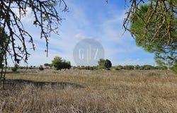Martano, Apulia 73025