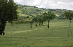 Frazione San Gregorio, Assisi, Umbria 06081