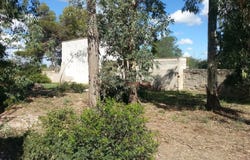 Nardò, Apulia 73048