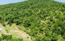 Sinalunga, Tuscany 53048