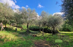 Calci, Tuscany 56011