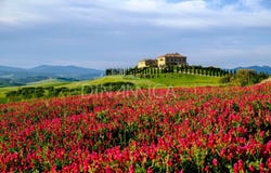 Saline, Tuscany 56048