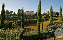 Montepulciano, Tuscany 53045
