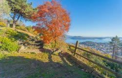 Verbania, The Piedmont 28925