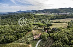 Montepulciano, Tuscany 53045
