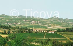 Alfiano Natta, Piedmont 15021