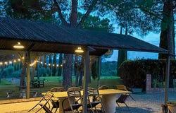 Castiglione del Lago, Umbria 06061