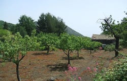 Via Carpene, 10 Via Carpene, 10, Sicily, Sicily 95039