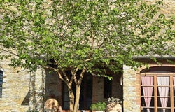 Sinalunga, Tuscany 53048
