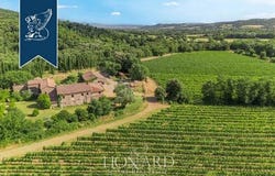 Montalcino, Siena