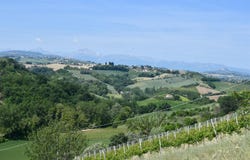 Montottone, Marche 63843