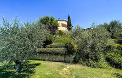 Marti, Marti, Tuscany 56020