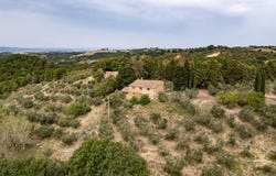 Asciano, Tuscany 53041