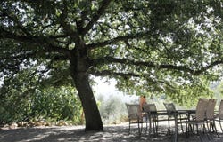 Giuncarico, Tuscany 58023
