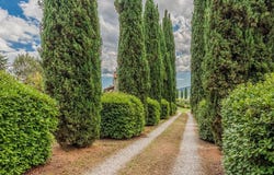 Radicondoli, Tuscany 53030
