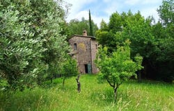 Cetona, Tuscany 53040