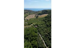 Marche, Marche 63828