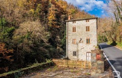 Pescia, Tuscany 51012