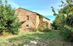 Serra de' Conti, Marche 60030