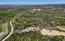 Asciano, Tuscany 53041