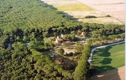 Castagneto Carducci, Toscana|Tuscany 57022