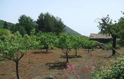Via Carpene, 10 Via Carpene, 10, Trecastagni, Sicily 95039