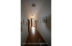 Trequanda, Tuscany 53020