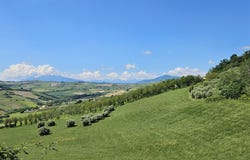 Carassai, Marche 63063