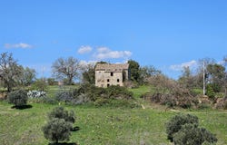 Cupra Marittima, Marche 63064