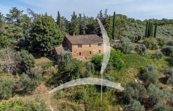 Asciano, Tuscany 53041