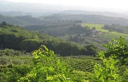 Montespertoli, Toscana|Tuscany