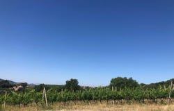 Magione, Umbria 06063